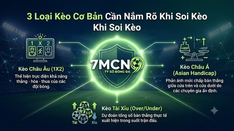 Bảng hiển thị tỷ lệ kèo bóng đá trực tuyến chuẩn xác trên hệ thống 7M.
