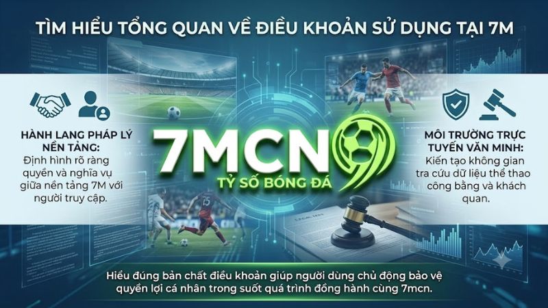 Infographic tóm tắt tổng quan khung pháp lý và điều khoản sử dụng tại nền tảng 7m.